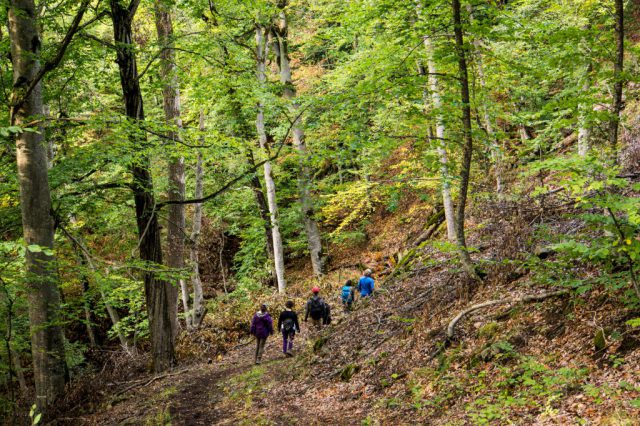 Haghartsin Monastery to Hovk Trail, Dilijan National Park, Armenia-2