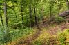 Haghartsin Monastery to Hovk Trail, Dilijan National Park, Armenia-3