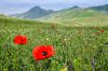 hiking-vayots-dzor-armenia-5