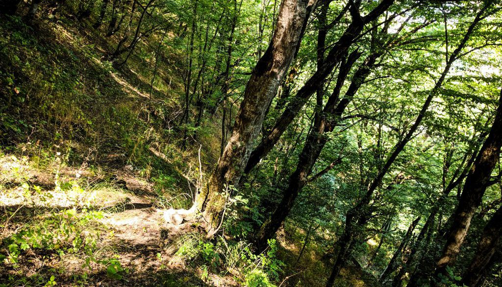 transcaucasian-trail-armenia-syunik-2020-18