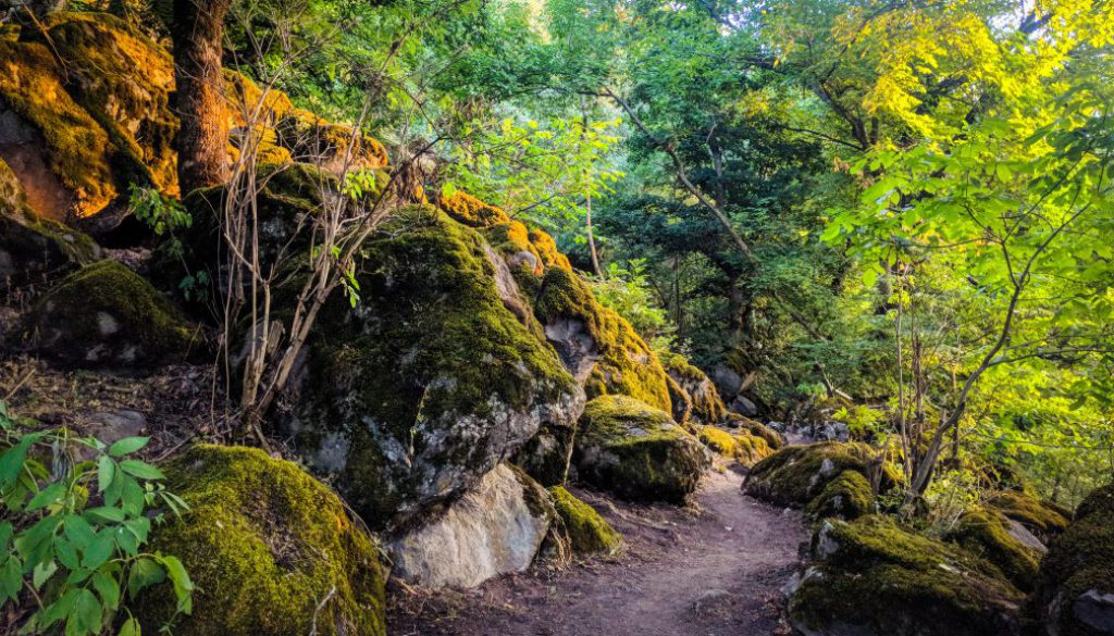 transcaucasian-trail-armenia-syunik-2020-26