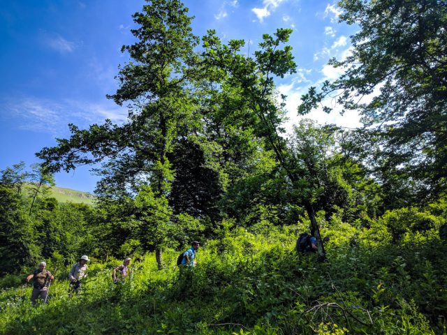 dilijan-national-park-armenia-trek-hike-6