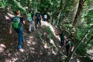 16 - Lagodekhi trail