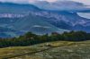 14 - Camping in Dilijan National Park, Armenia - photo by Tom Allen