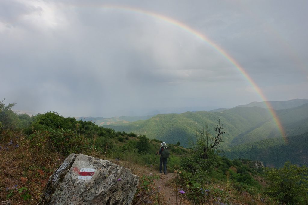 The TCT’s 6 biggest achievements of 2021 (and what they mean for your hikes next year)