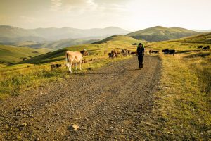 18 - Greetings on the trail, Armenia - photo by Tom Allen