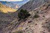 25 - Ancient trail in Arevik National Park, Armenia - photo by Tom Allen