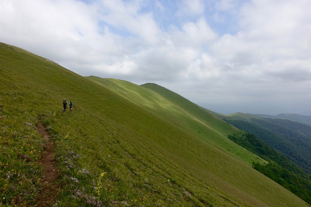 The TCT’s 6 biggest achievements of 2021 (and what they mean for your hikes next year)