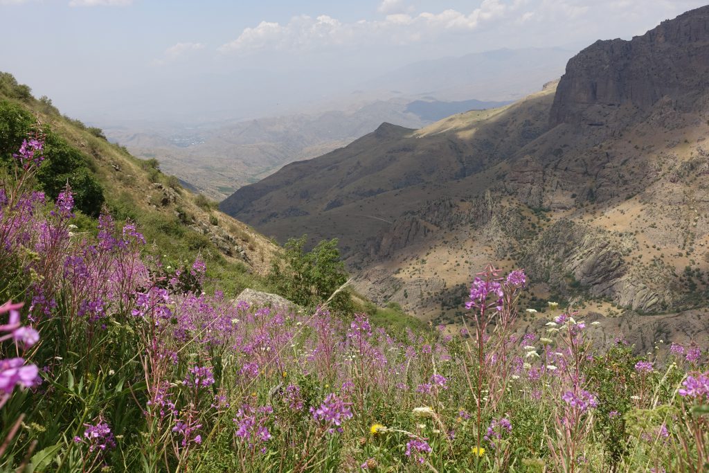 TCT Trailblazers: Our Thru-Hiker Support Program