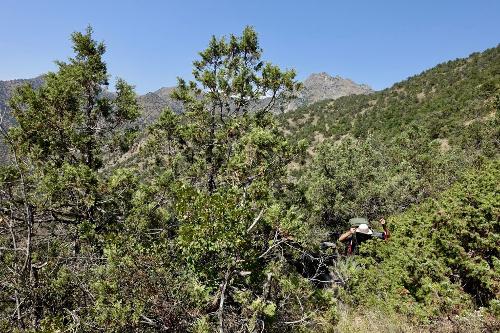 The TCT’s 6 biggest achievements of 2021 (and what they mean for your hikes next year)