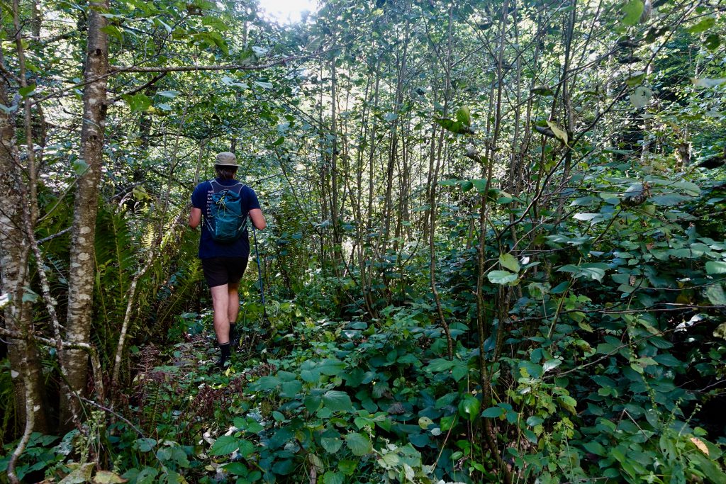 The TCT’s 6 biggest achievements of 2021 (and what they mean for your hikes next year)