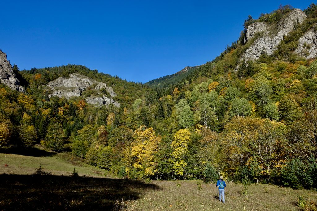 The TCT’s 6 biggest achievements of 2021 (and what they mean for your hikes next year)