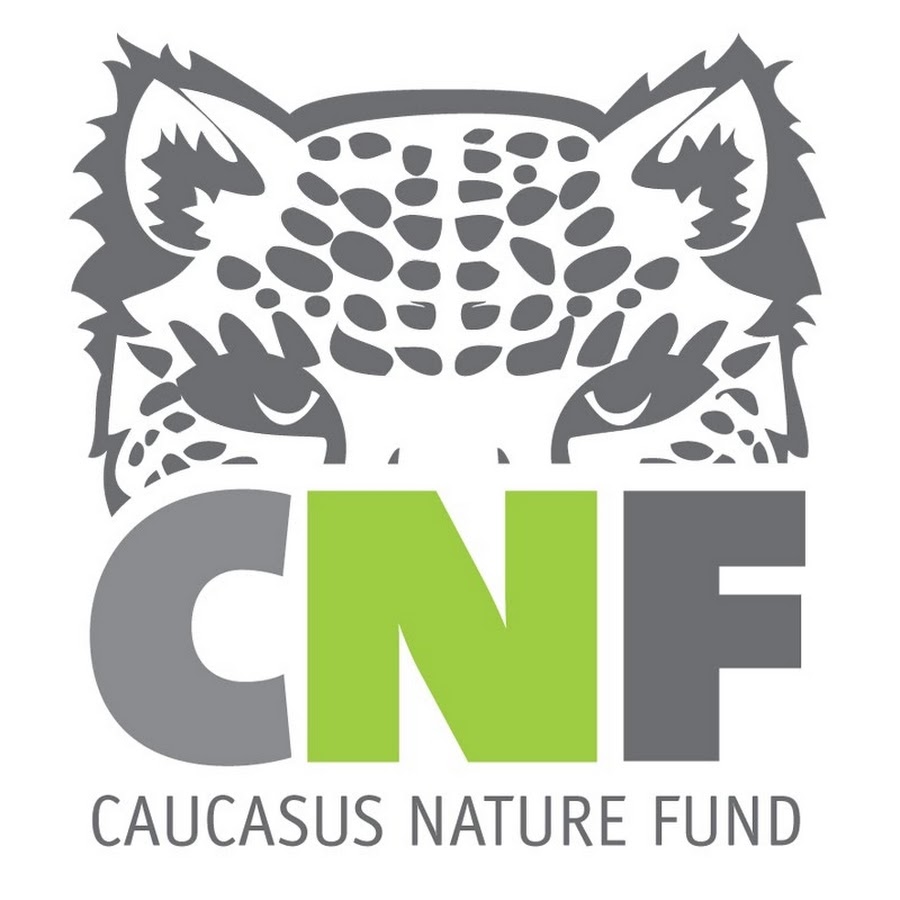 cnf-logo