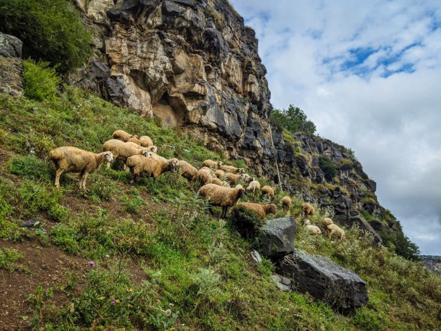 tct-lori-armenia-fundraising-trek-2022-18