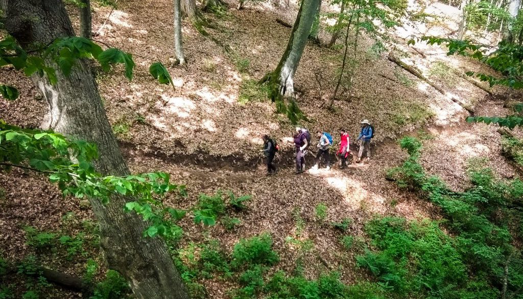 2018-tct-dilijan-armenia-fundraising-trek-3