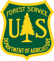 fs insignia color