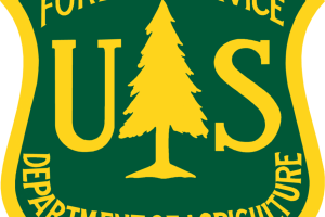 fs insignia color