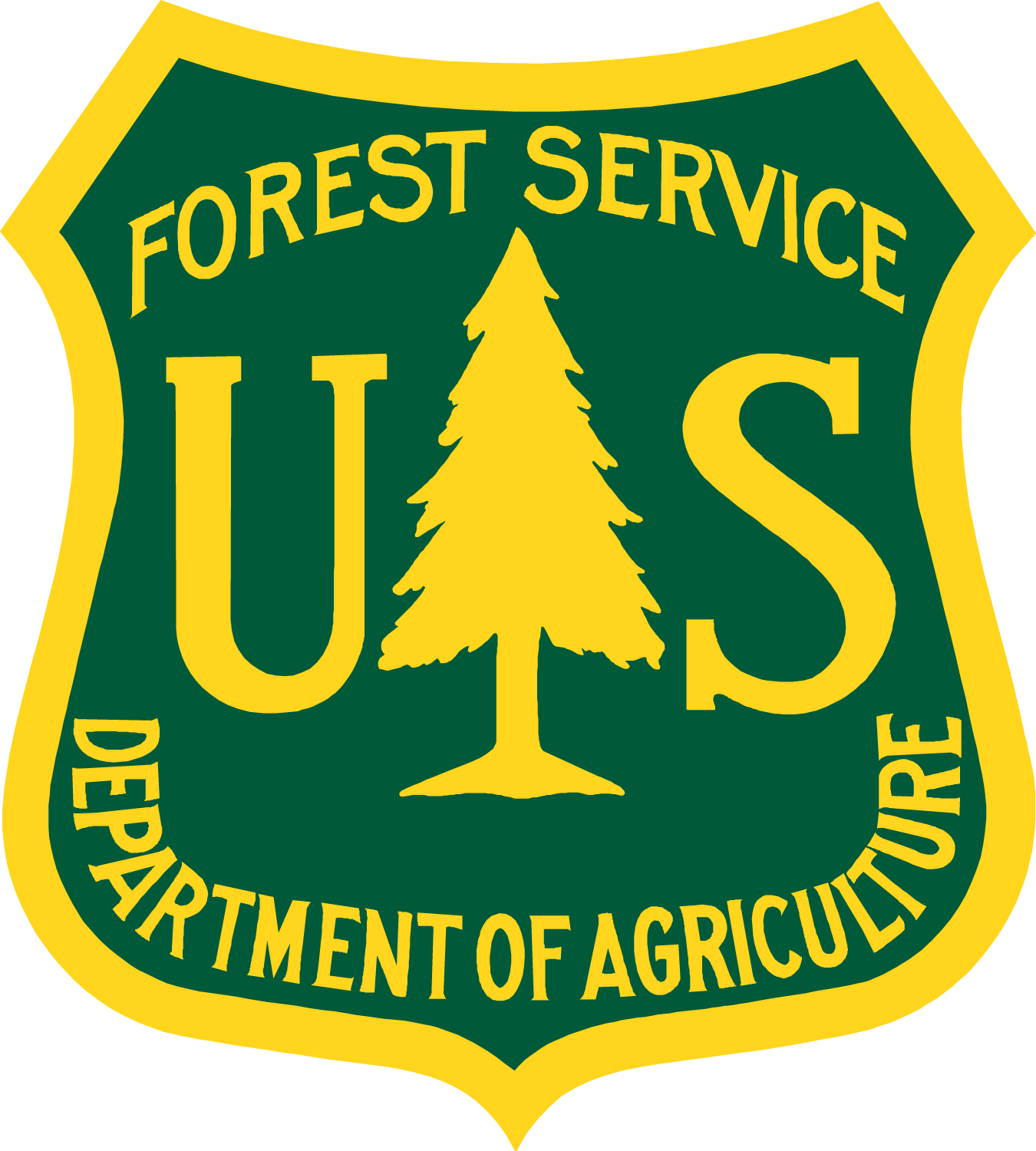 fs insignia color