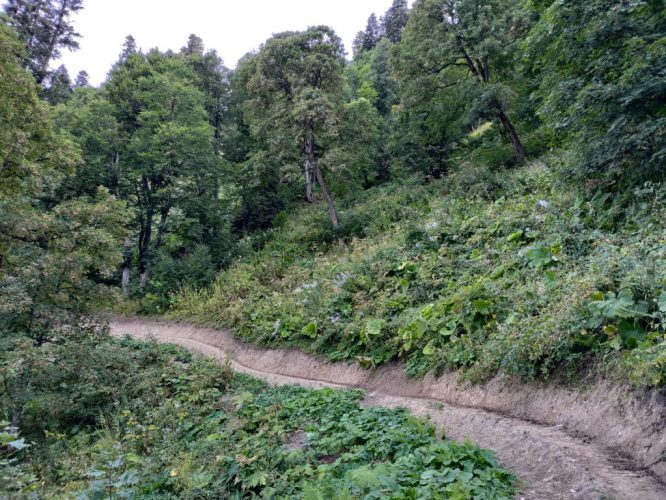 Our section of trail will one day look like this segment of the TCT, built by a previous year's volunteers
