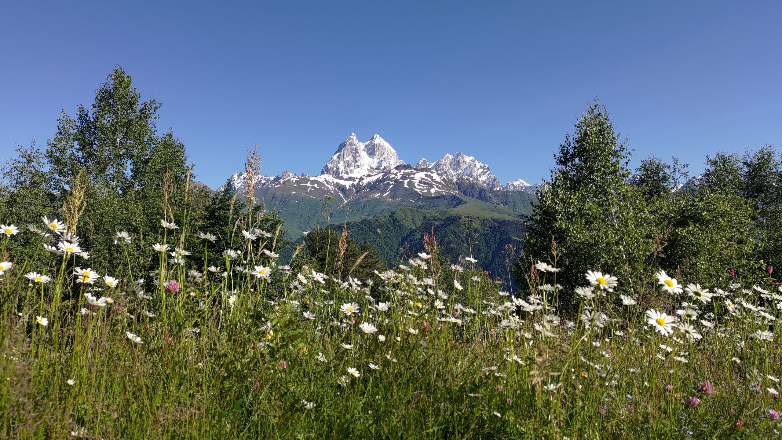 P_20230702_083943