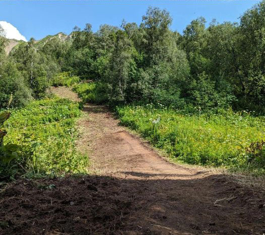 The finished trail.