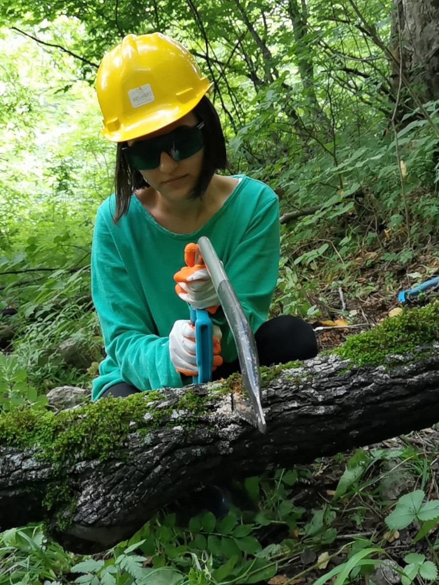 A volunteer clears the trail of a fallen tree near Griz, Azerbaijan.