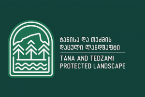 Tana and Tedzami Protected Landscape (1)