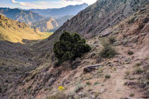 25-Ancient-trail-in-Arevik-National-Park-Armenia-photo-by-Tom-Allen-640x480