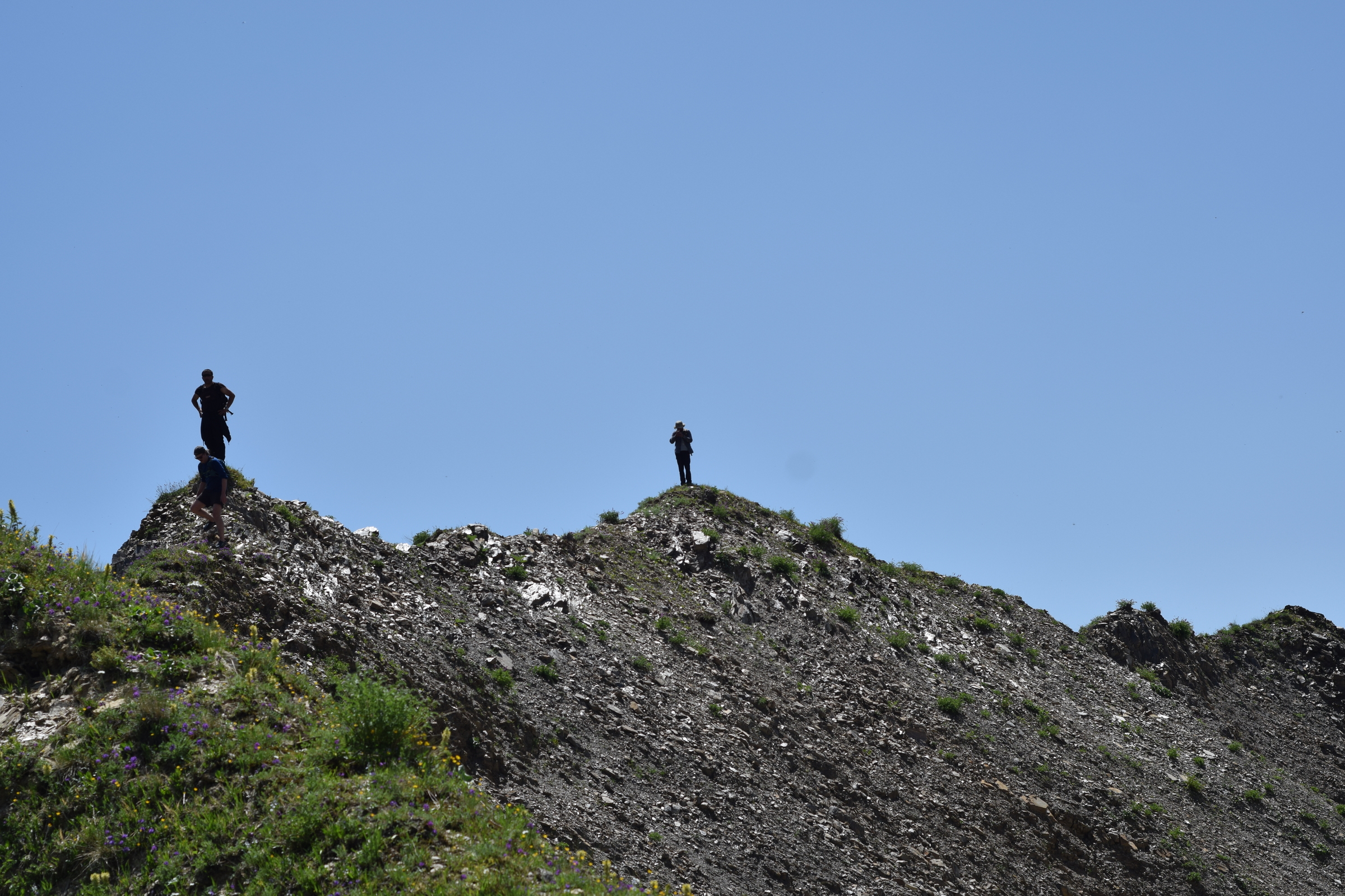 Copy of DSC_2727