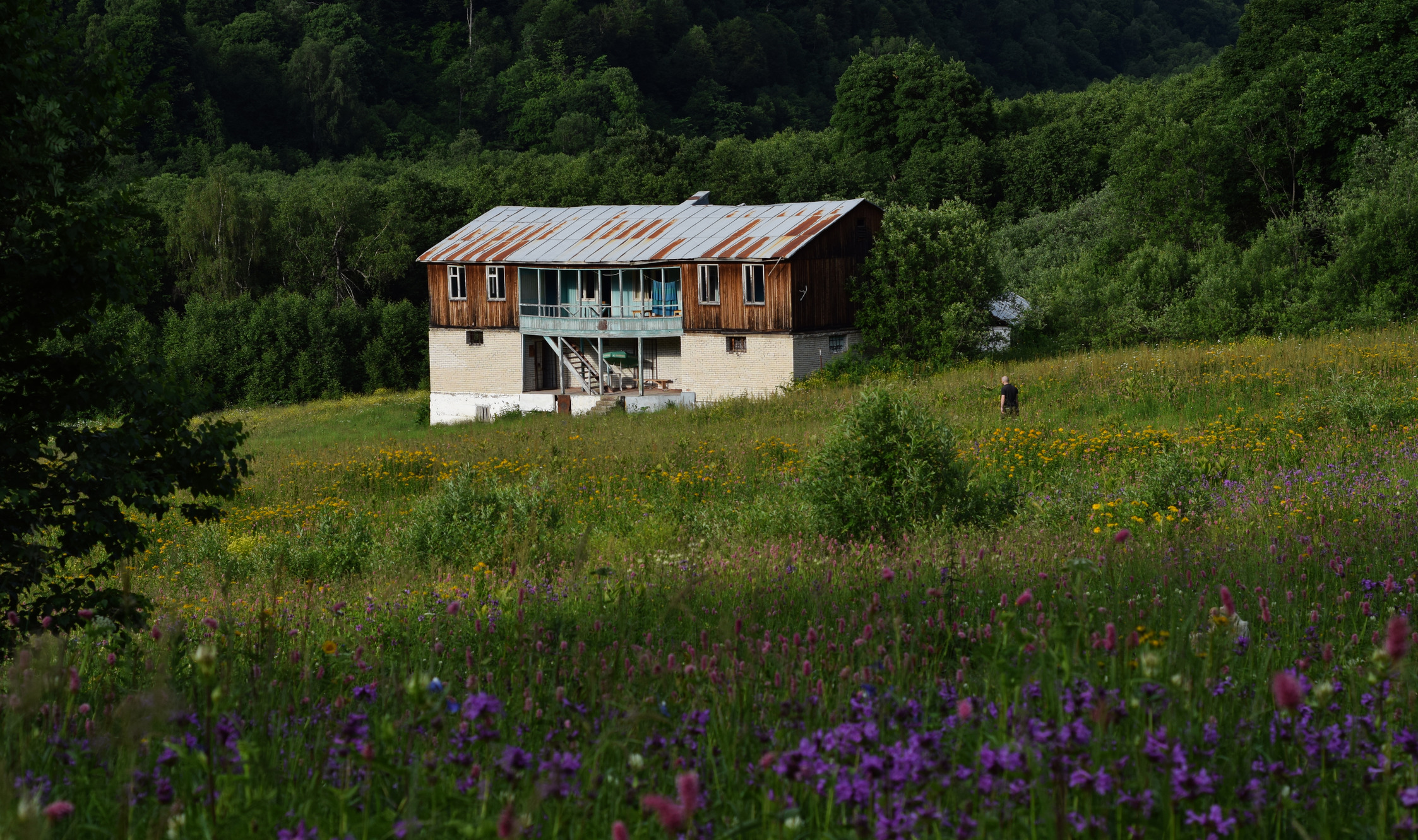 Copy of Ia_Iakobashvili1