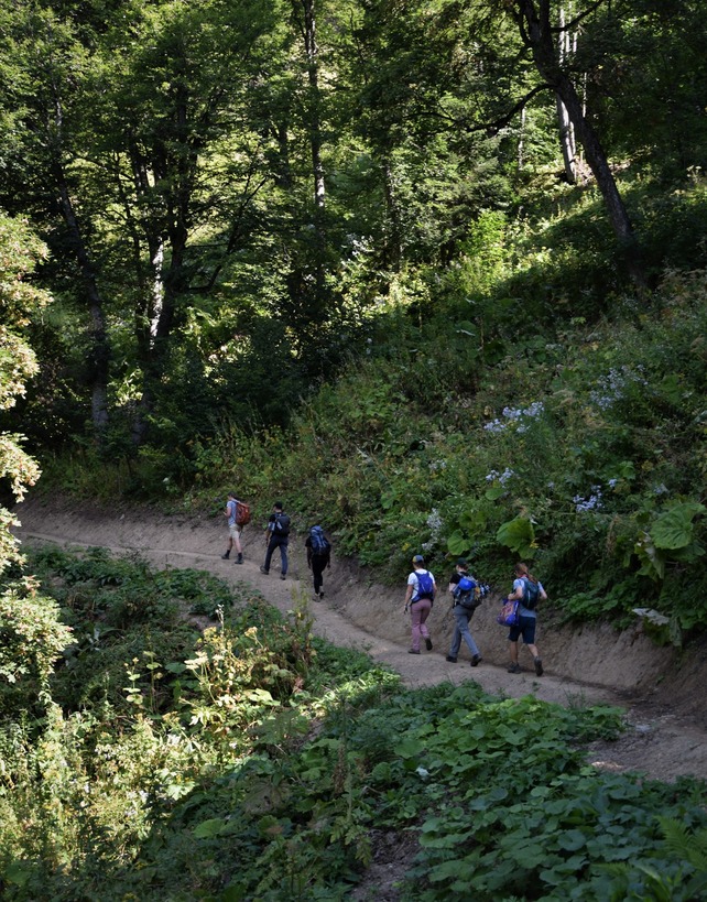 Copy of New trail in Zeksho