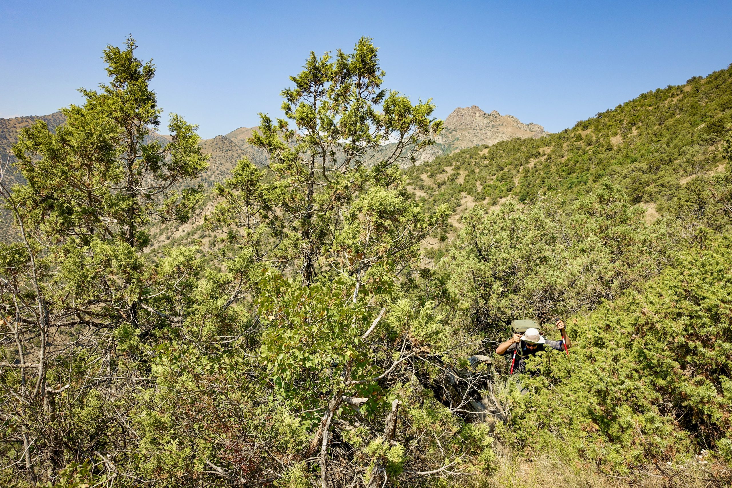 Can you spot Tom? This trail has gotten a lot better since our first thru-hike in 2021, but you should still expect some bushwhacking.