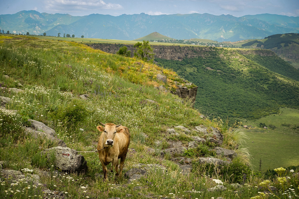 Hnevank to Kurtan-10