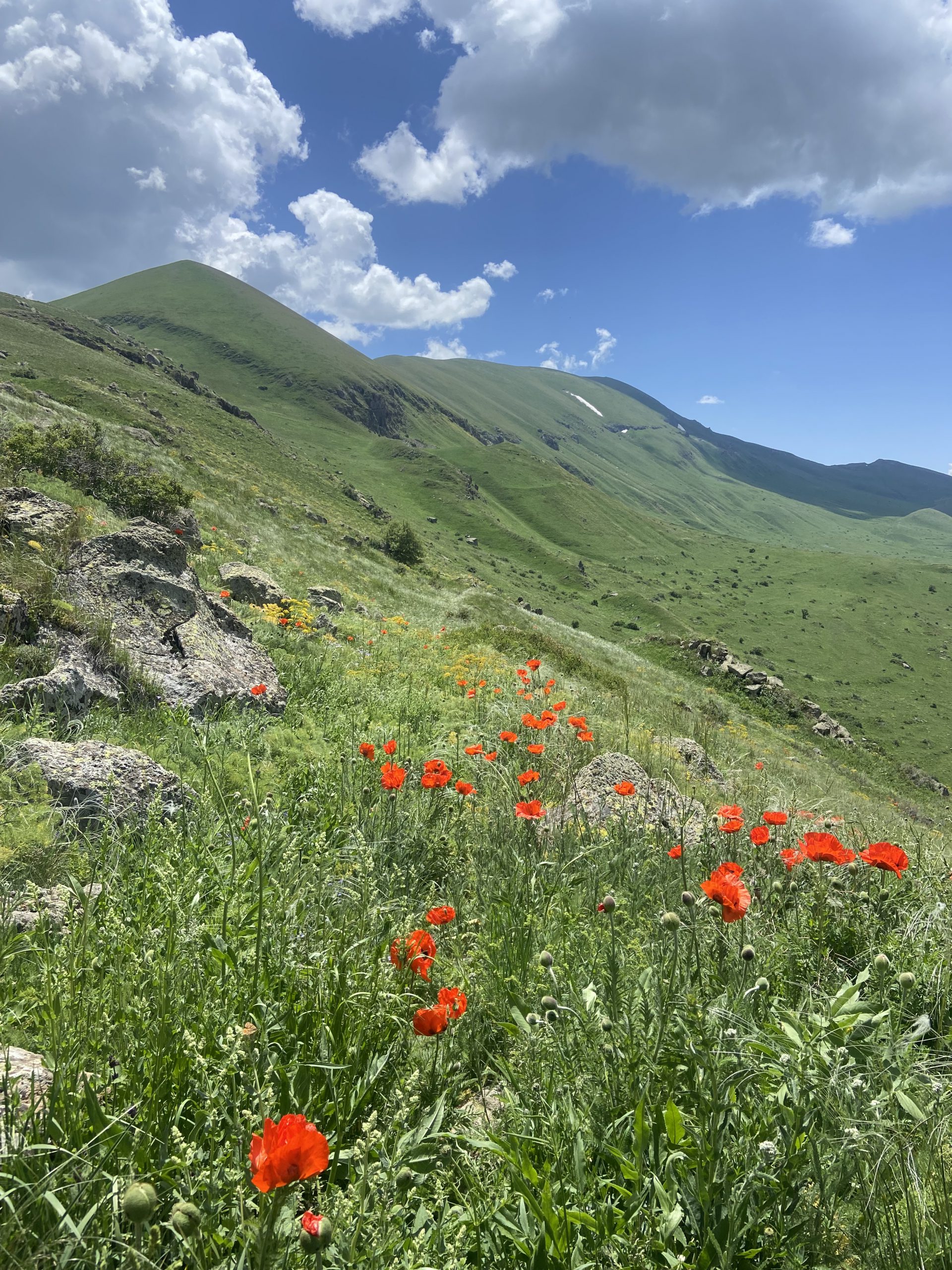 Grassy valley on the descent towards Gomk.