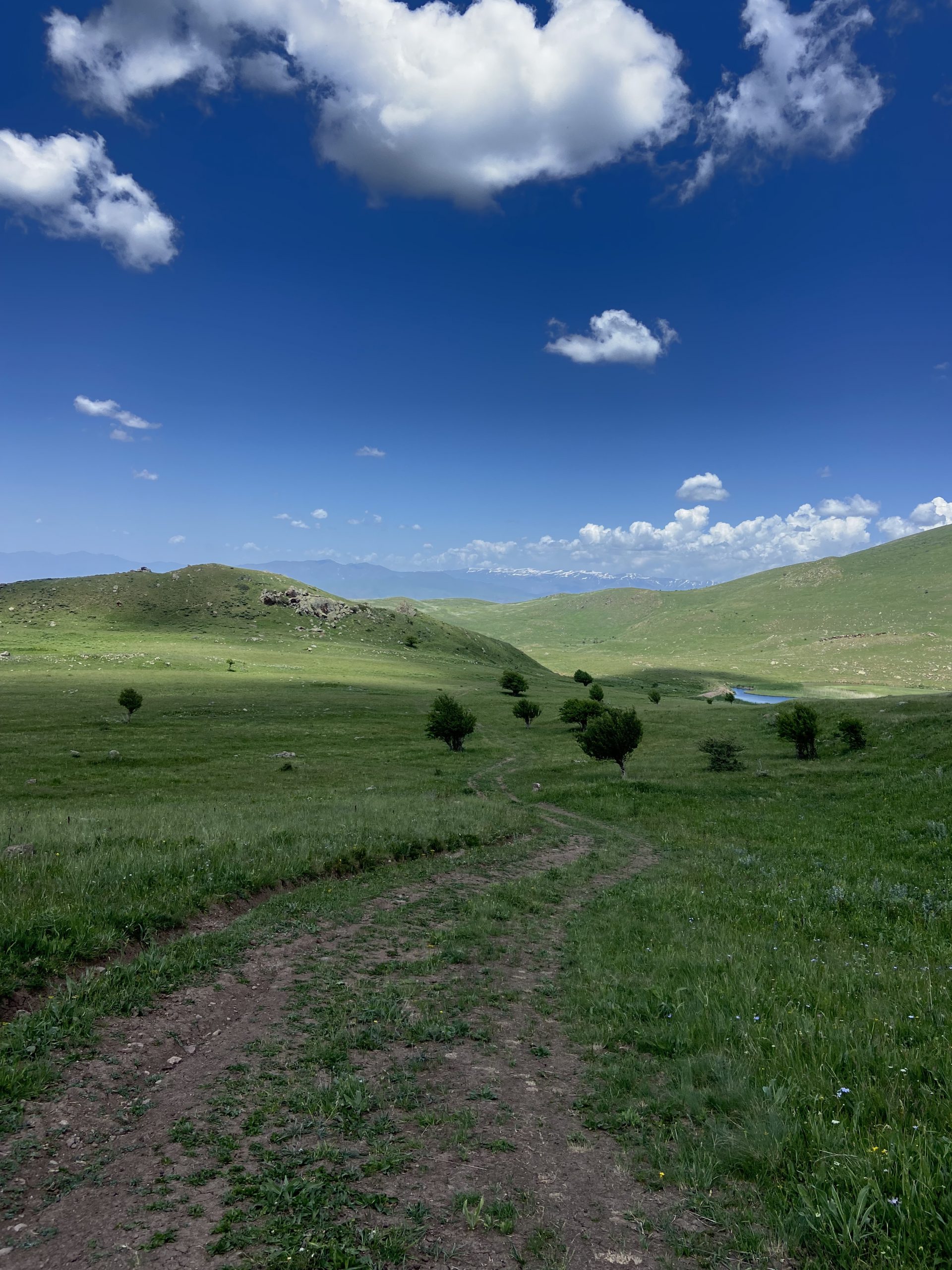 Between Artavan and Gomk, the last big climb of the day opened up to a beautiful valley of wildflowers.
