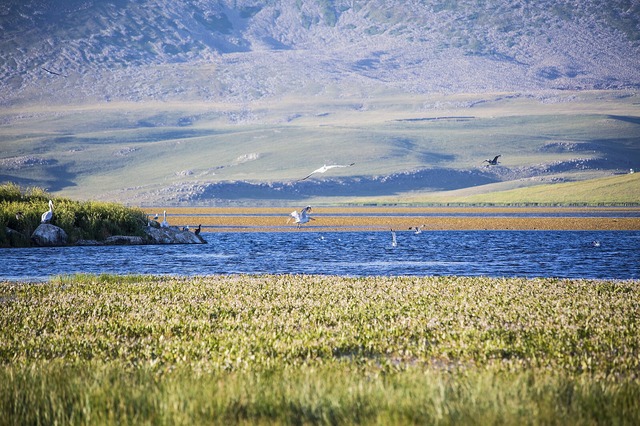 Madatapa_Managed_Reserve_05