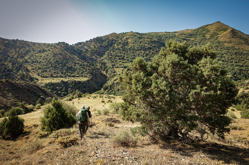 Yeghegnadzor to Hors-8
