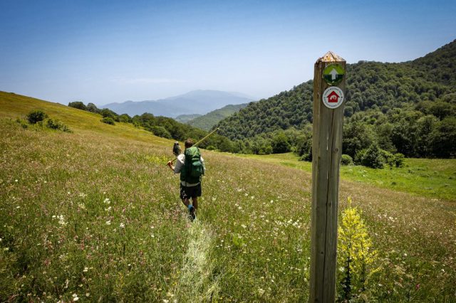 Gosh to Dilijan -13