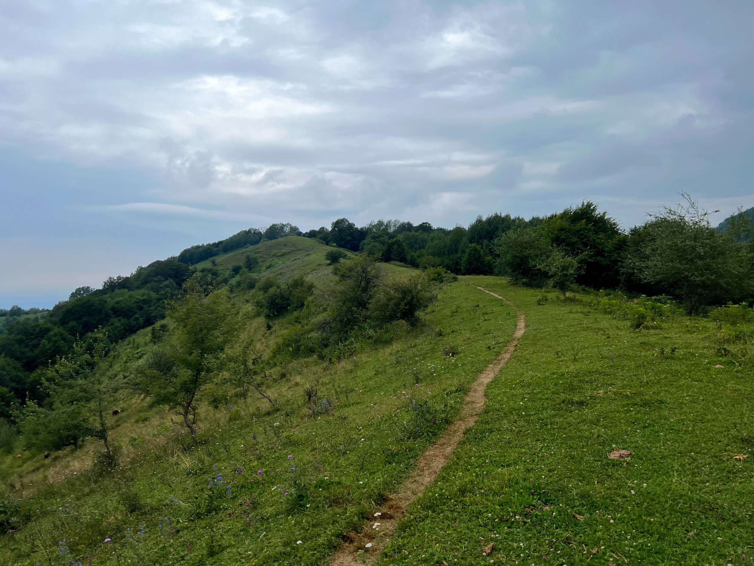 Moderate trail example