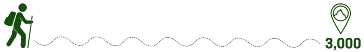 3000