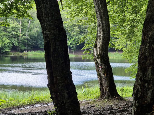 Gosh lake