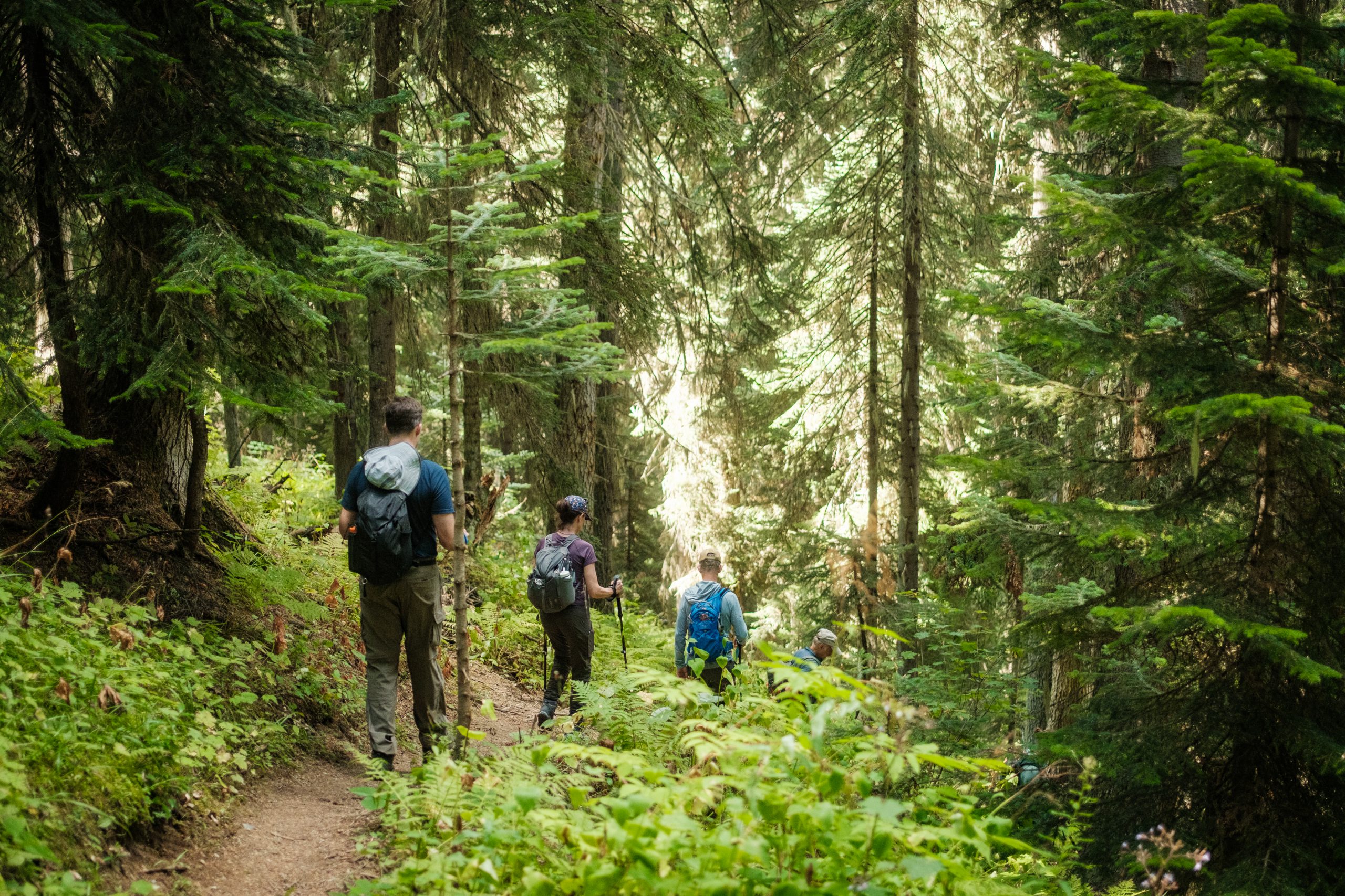 Trail conditions and exposures
