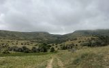 IMG_1805