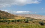 IMG_1850 (1)
