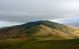 IMG_1890