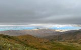 IMG_1891