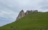 IMG_8713
