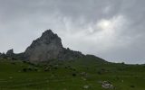 IMG_8716