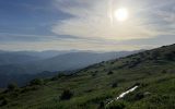 IMG_8906